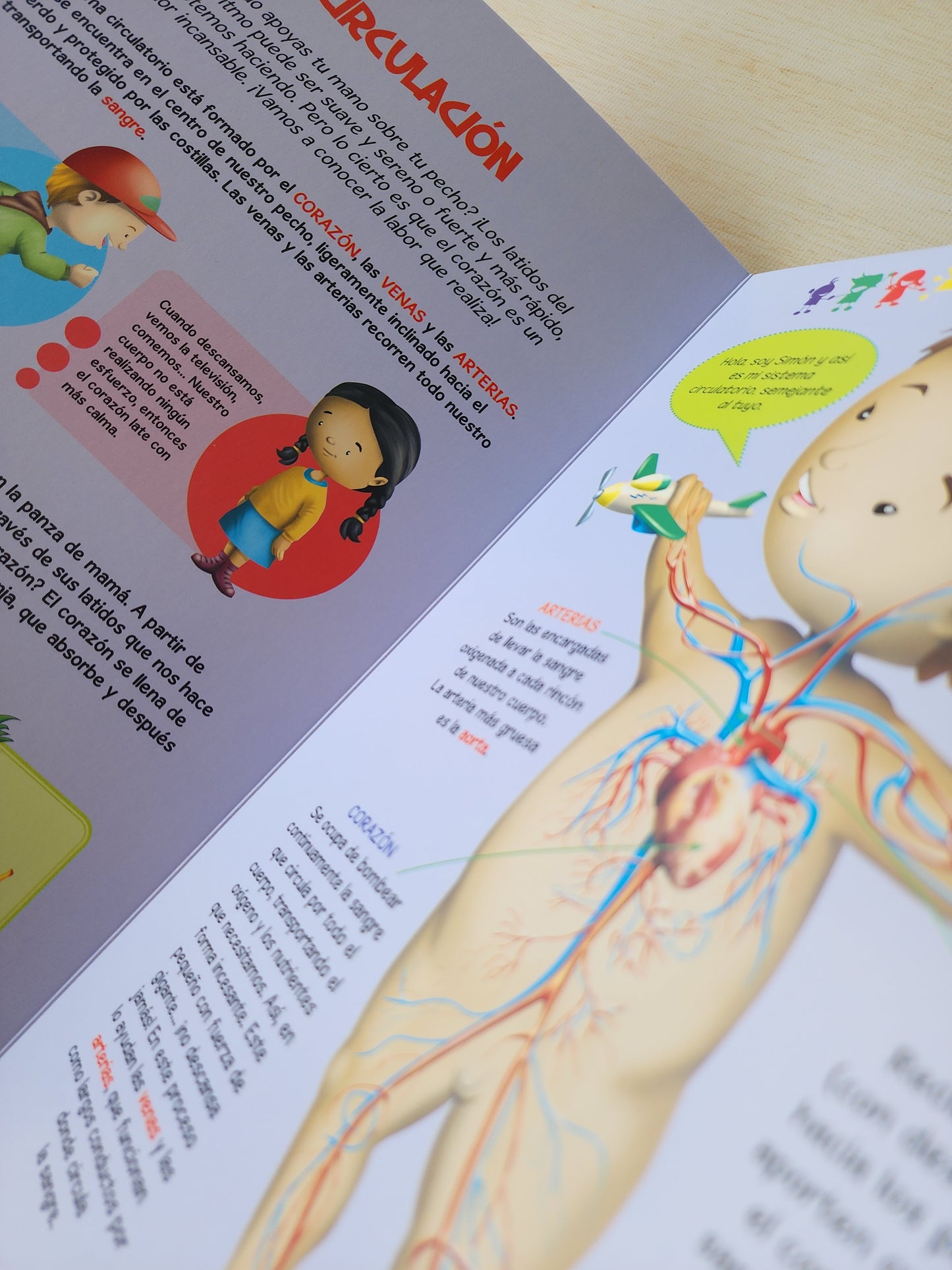 DESCUBRIMOS NUESTRO CUERPO