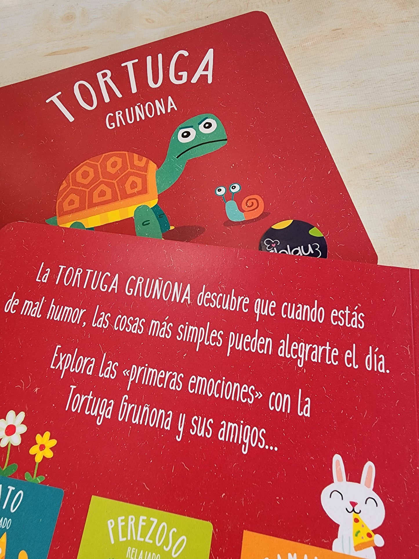 TORTUGA GRUÑONA
