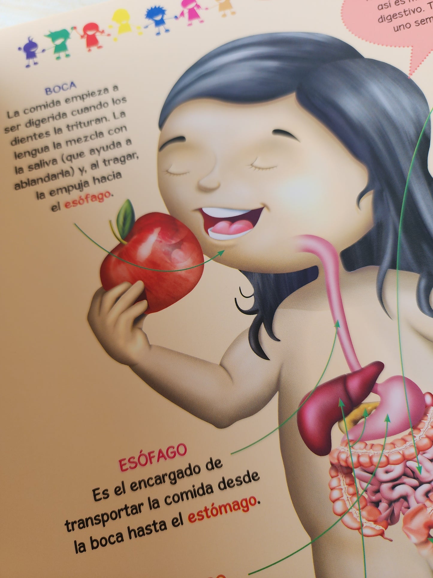 DESCUBRIMOS NUESTRO CUERPO