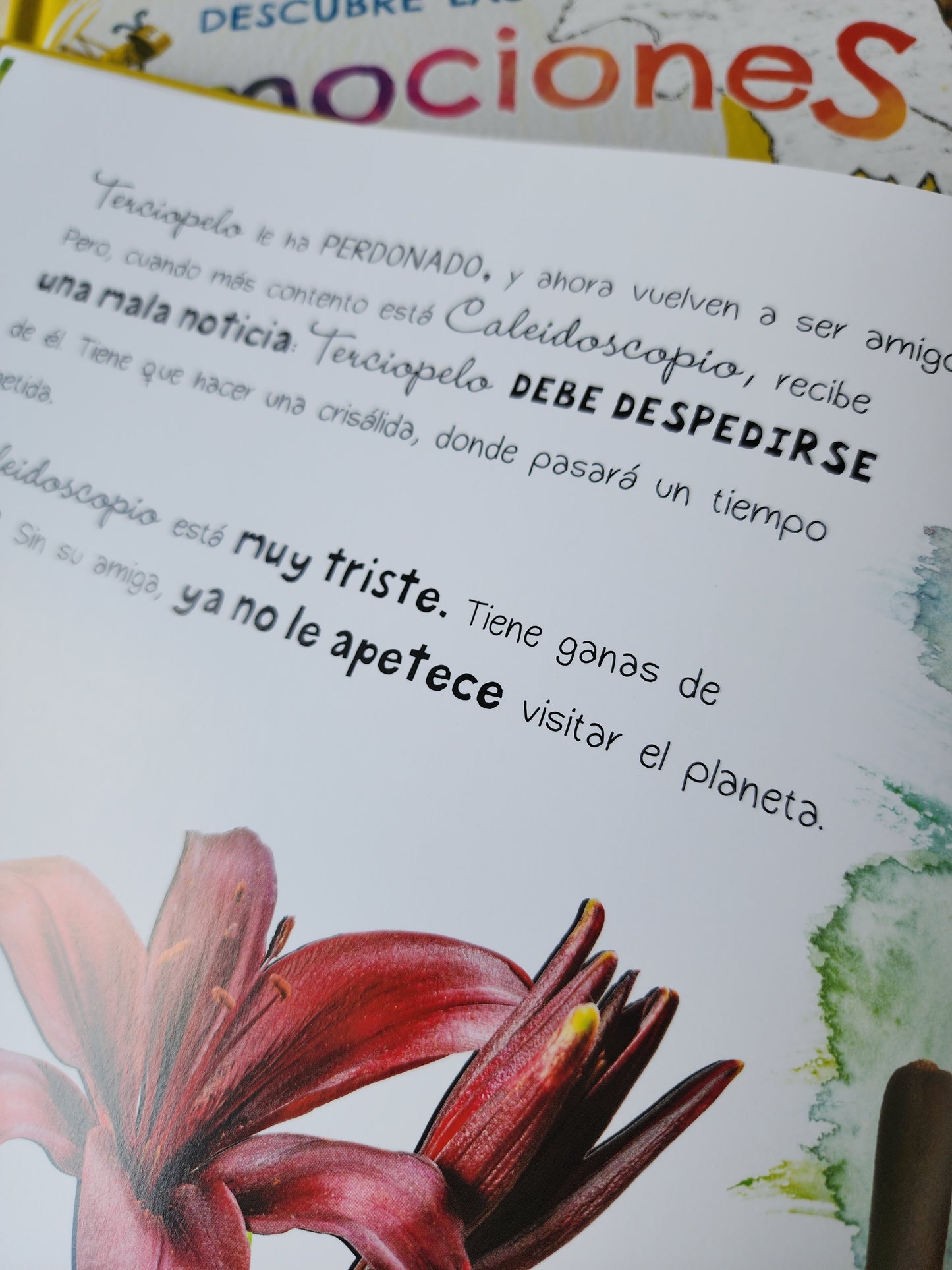 CALEIDOSCOPIO DESCUBRE LAS EMOCIONES