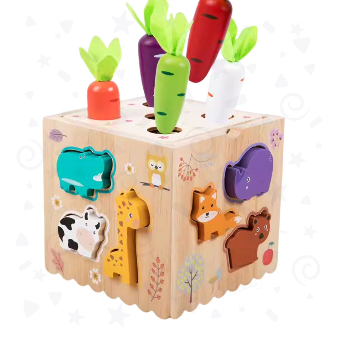 CENTRO DE ACTIVIDADES