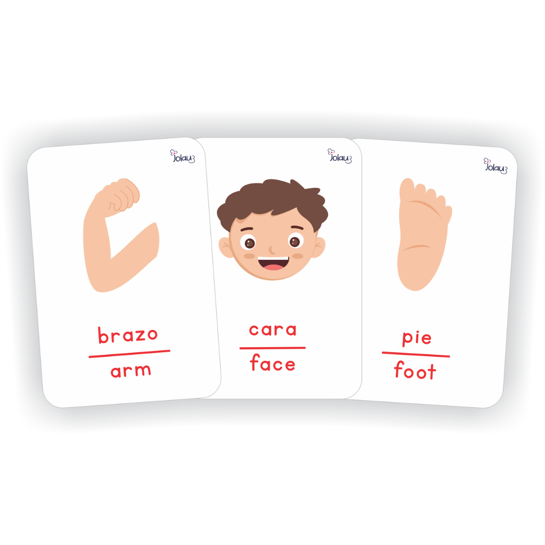 FLASHCARDS PARTES DEL CUERPO NIÑO