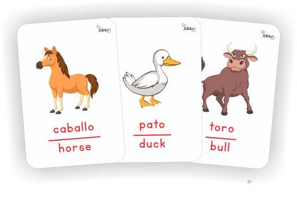 PROMO-FLASHCARDS TODAS LAS CATEGORIAS
