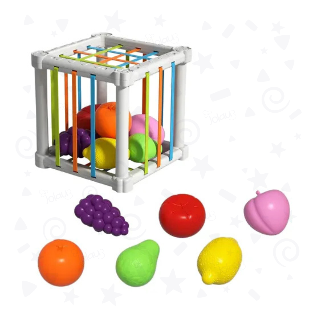 ENCAJE INICIAL DE CINTAS CON FRUTAS