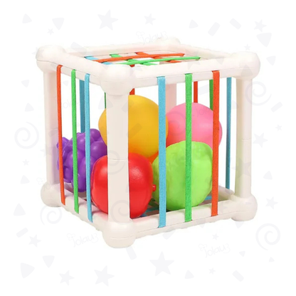 ENCAJE INICIAL DE CINTAS CON FRUTAS