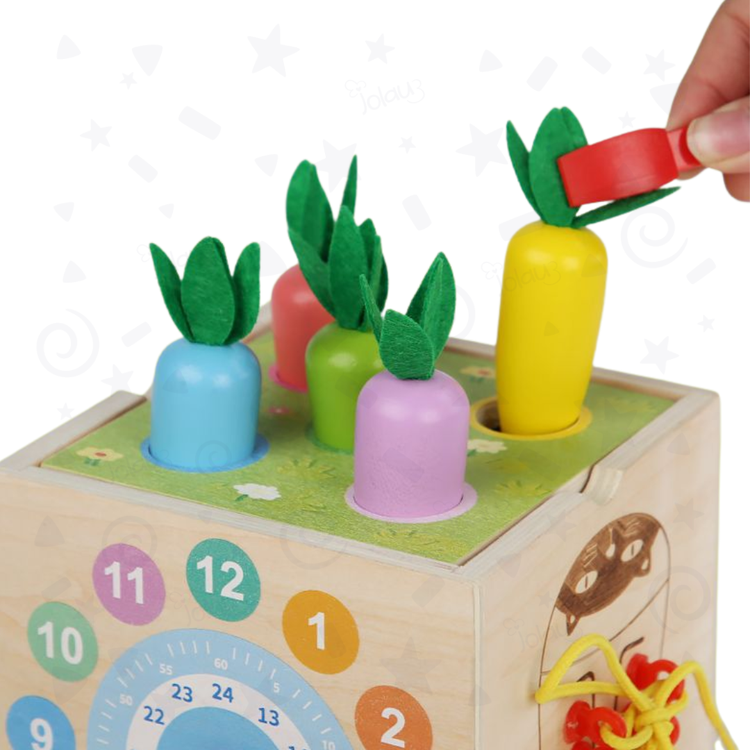 CENTRO DE ACTIVIDADES