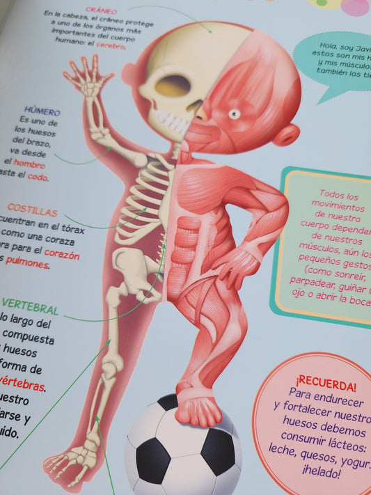 DESCUBRIMOS NUESTRO CUERPO