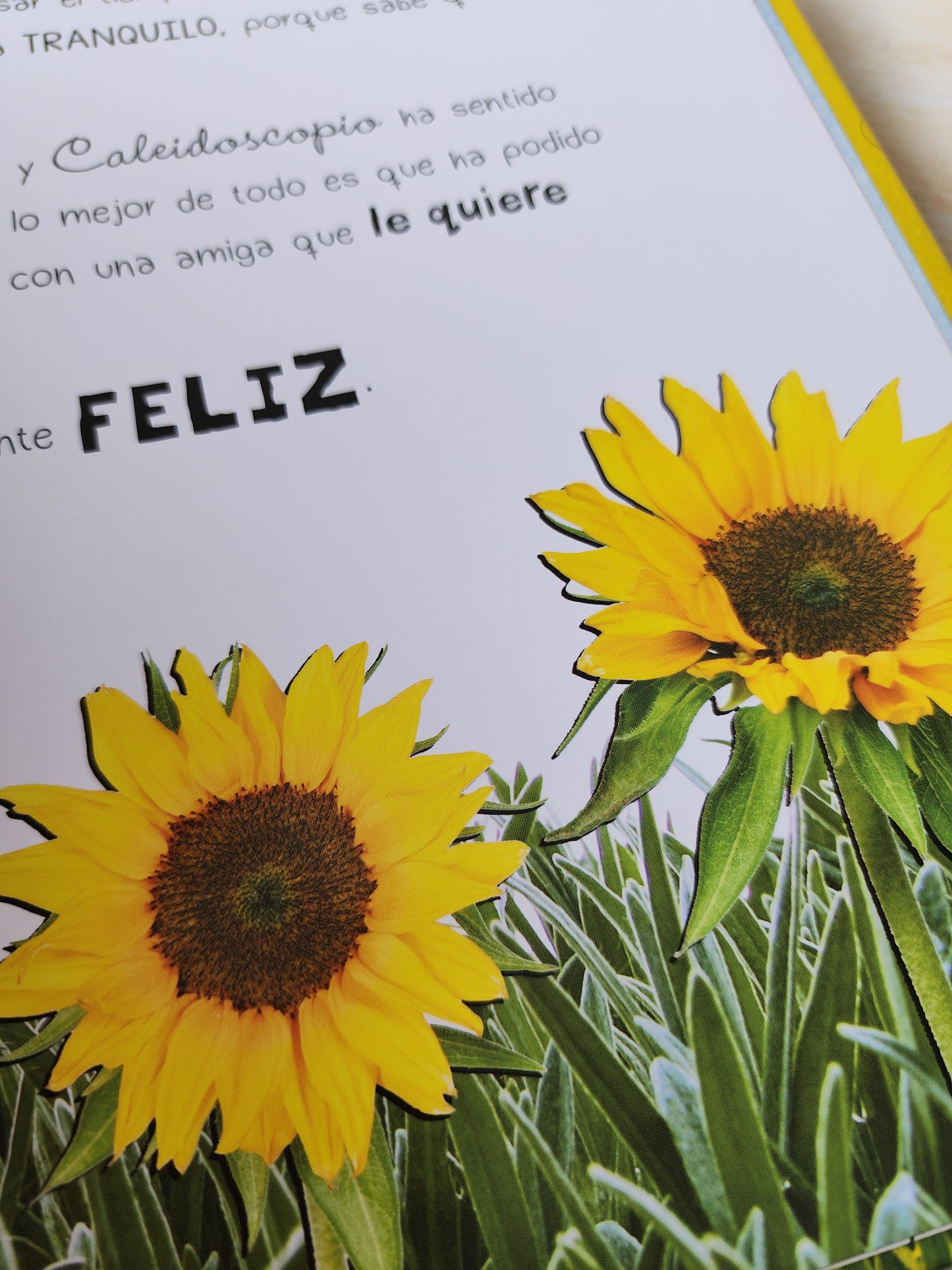 CALEIDOSCOPIO DESCUBRE LAS EMOCIONES